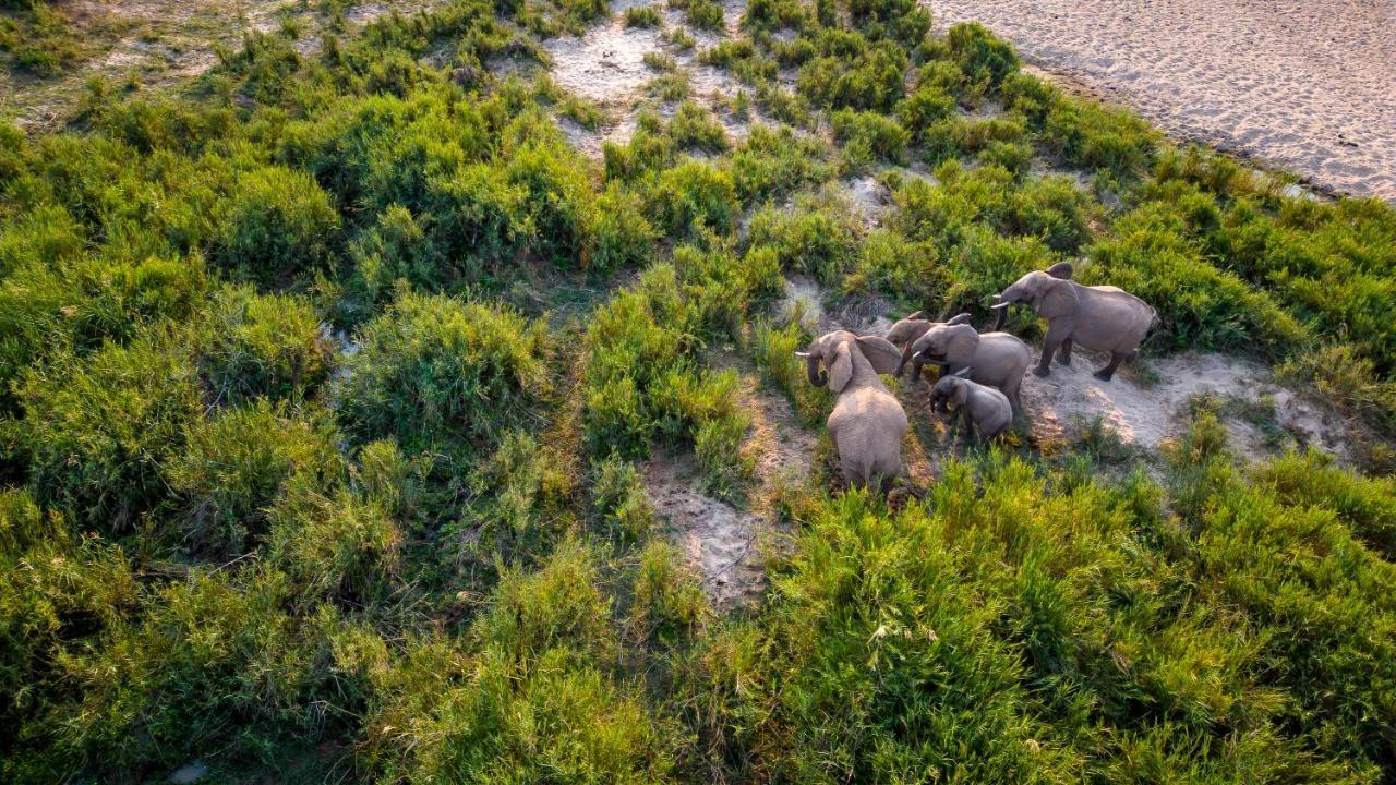 Buckler'S Africa Lodge Kruger Park Komatipoort Eksteriør billede