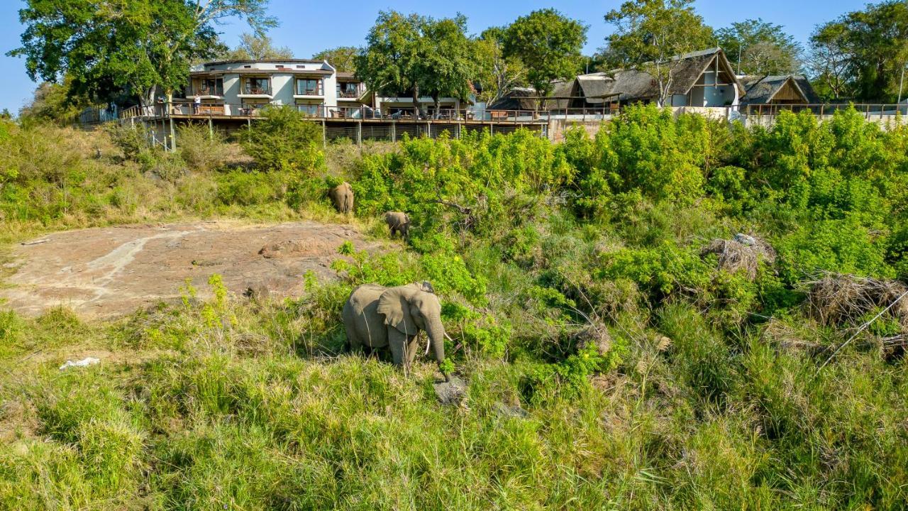 Buckler'S Africa Lodge Kruger Park Komatipoort Eksteriør billede