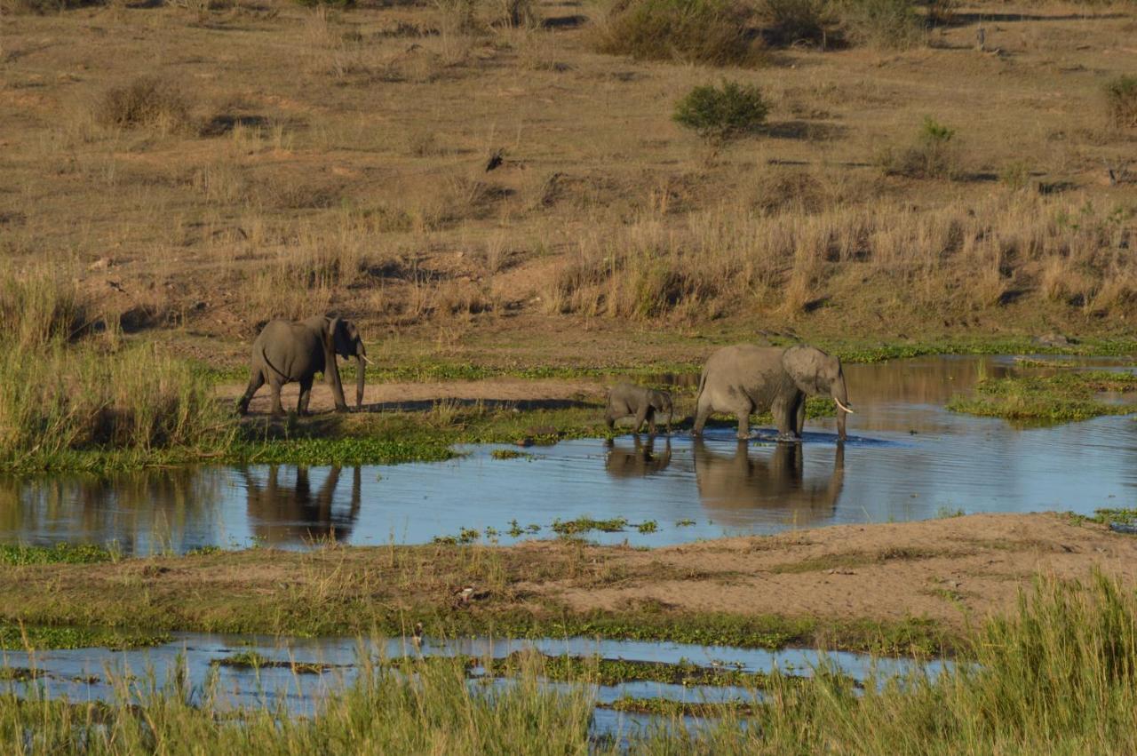Buckler'S Africa Lodge Kruger Park Komatipoort Eksteriør billede
